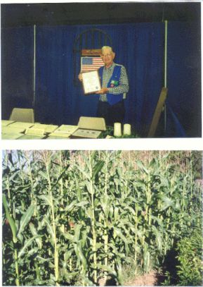 mgaward&corn.jpg